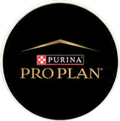 Pro plan