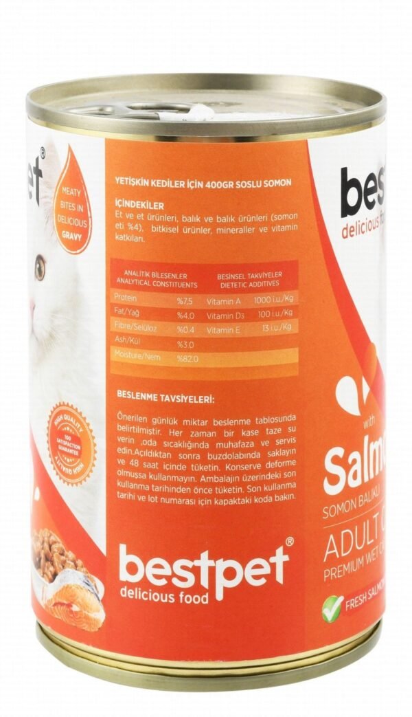 Bestpet Wet Food with Salmon in Gravy for Adult Cats, 400 g