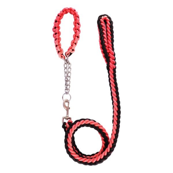 Black & Pink Braided Dog Leash with Collar (160x3cm), 1 pack