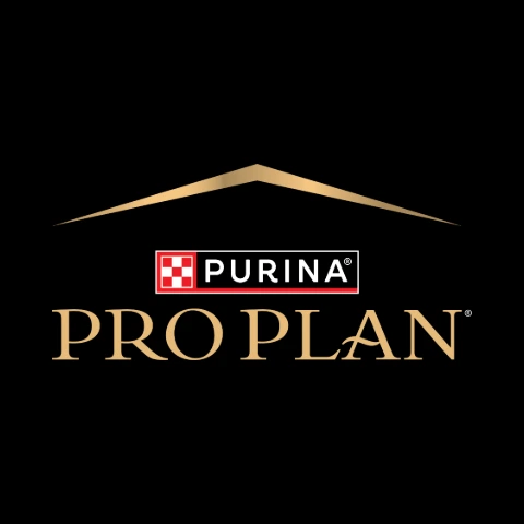 Pro Plan