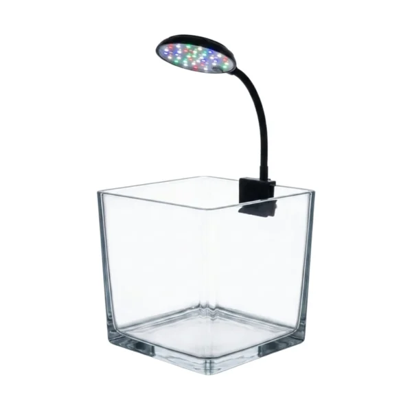 Clear Square Glass Fish Tank Mini Desktop Aquarium with Clip-on Color LED Lighting System