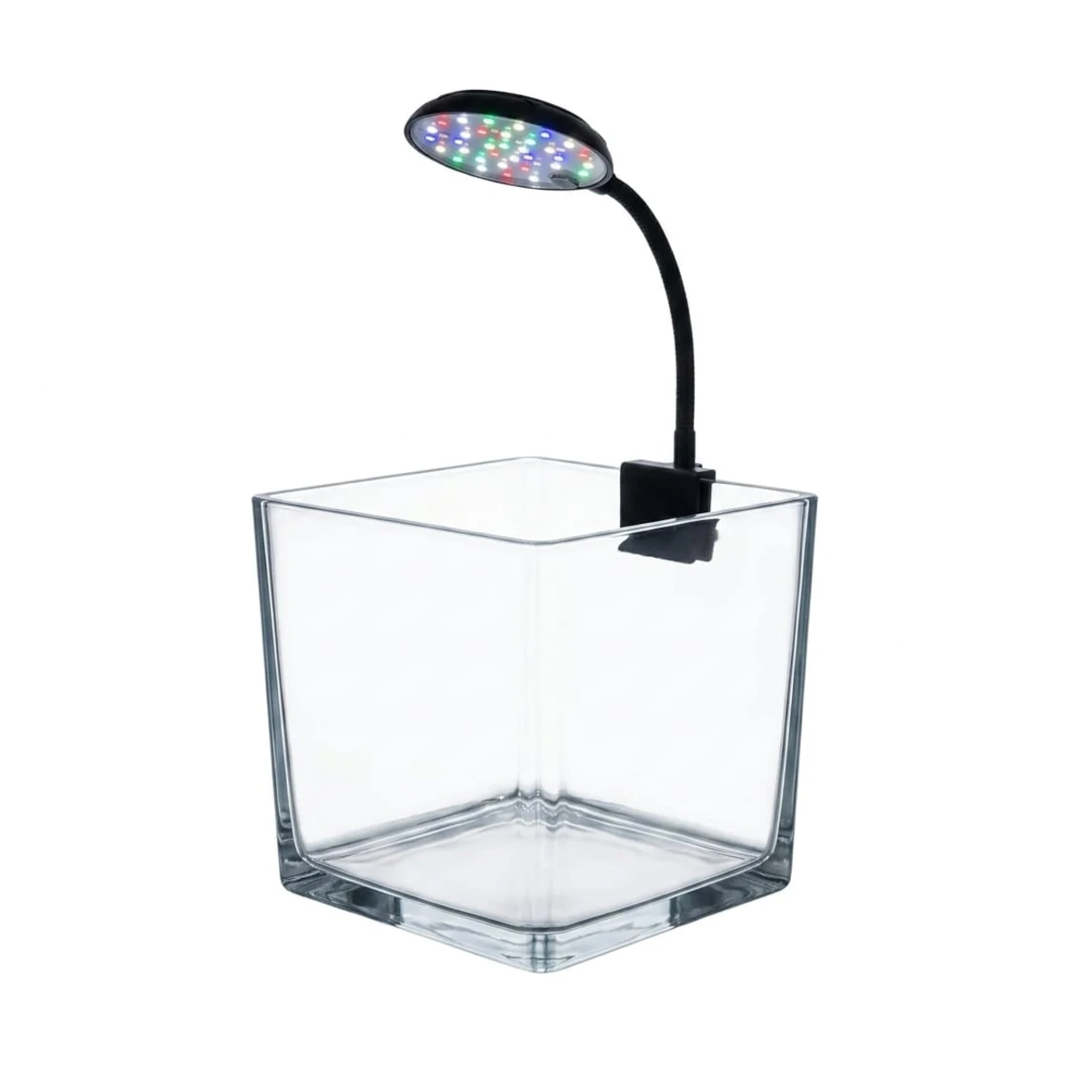 Clear Square Glass Fish Tank Mini Desktop Aquarium with Clip-on Color LED Lighting System