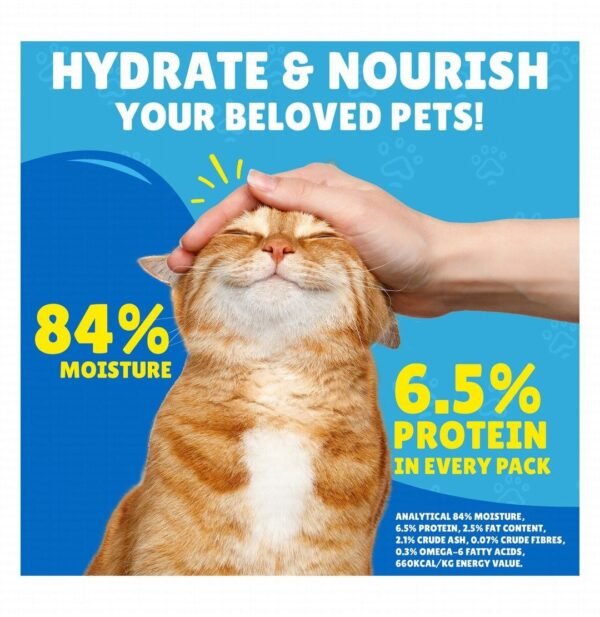 Purina Friskies Wet Cat Food with Salmon in Gravy, 85 g
