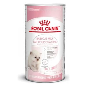 Royal Canin Babycat Milk Replacer Powder