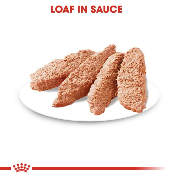 Royal Canin Digestive Care Wet Dog Food Loaf