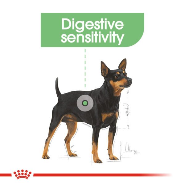 Royal Canin Digestive Care Wet Dog Food Loaf