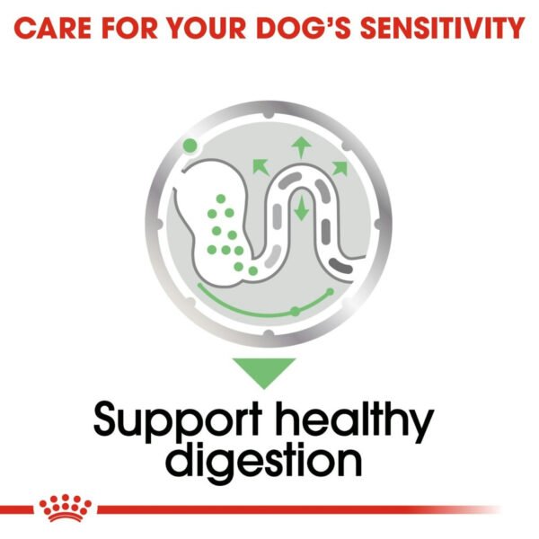 Royal Canin Digestive Care Wet Dog Food Loaf
