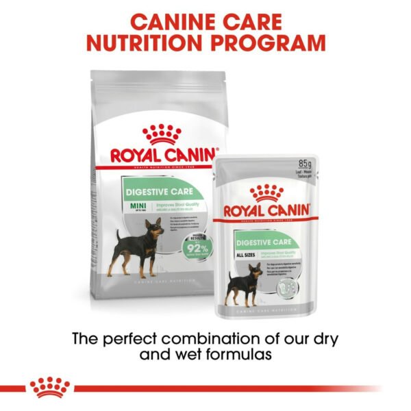 Royal Canin Digestive Care Wet Dog Food Loaf