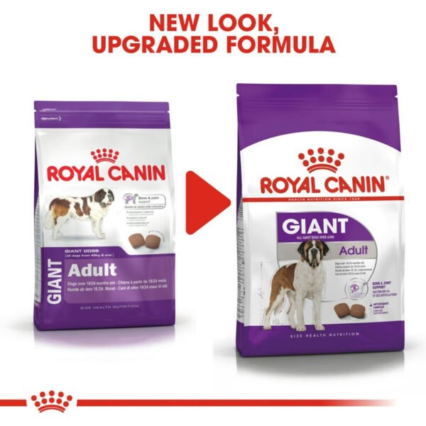 Royal Canin Giant Adult Dry Dog Food