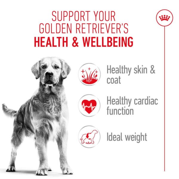 Royal Canin Golden Retriever Adult Dry Dog Food