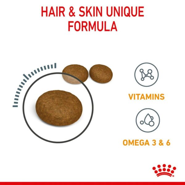Royal Canin Hair & Skin Care Dry Cat Food