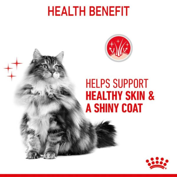 Royal Canin Hair & Skin Care Dry Cat Food
