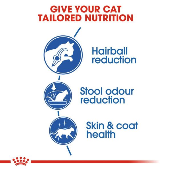 Royal Canin Indoor Long Hair Dry Cat Food