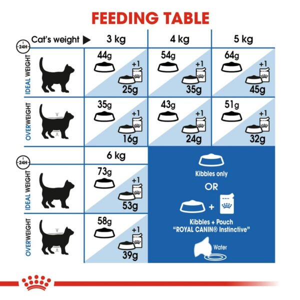 Royal Canin Indoor Long Hair Dry Cat Food