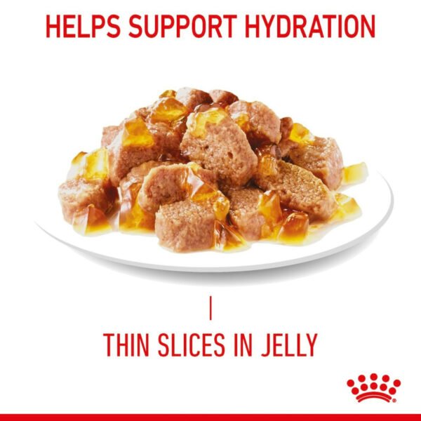 Royal Canin Intense Beauty Wet Cat Food Thin Slices in Jelly