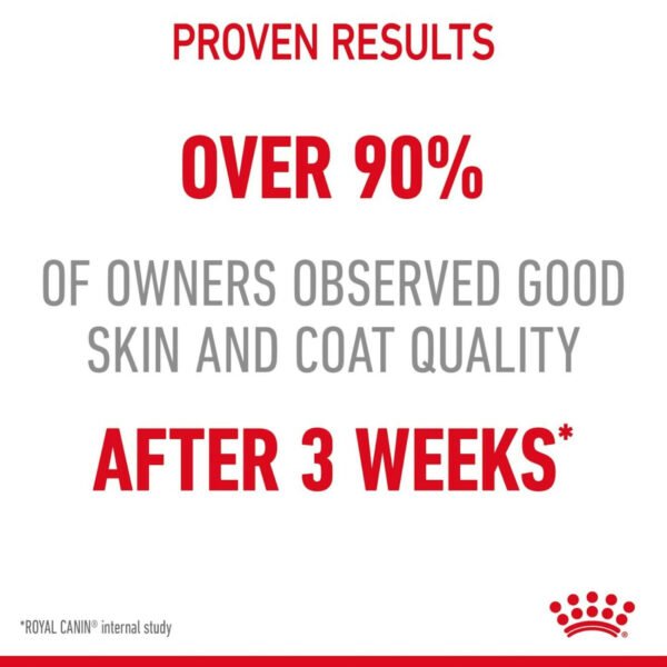 Royal Canin Intense Beauty Wet Cat Food Thin Slices in Jelly