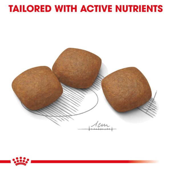 Royal Canin Maxi Joint Care Dry Dog Food
