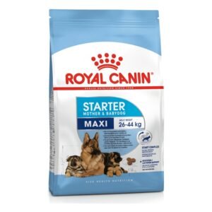 Royal Canin Maxi Starter Mother & Babydog Dry Dog Food