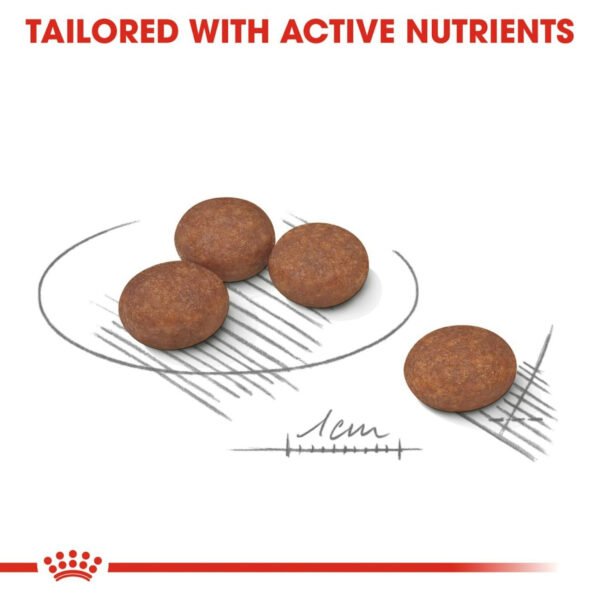 Royal Canin Mini Digestive Care Dry Dog Food