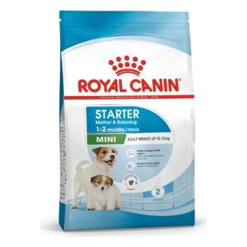 Royal Canin Mini Starter Mother & Babydog Dry Dog Food