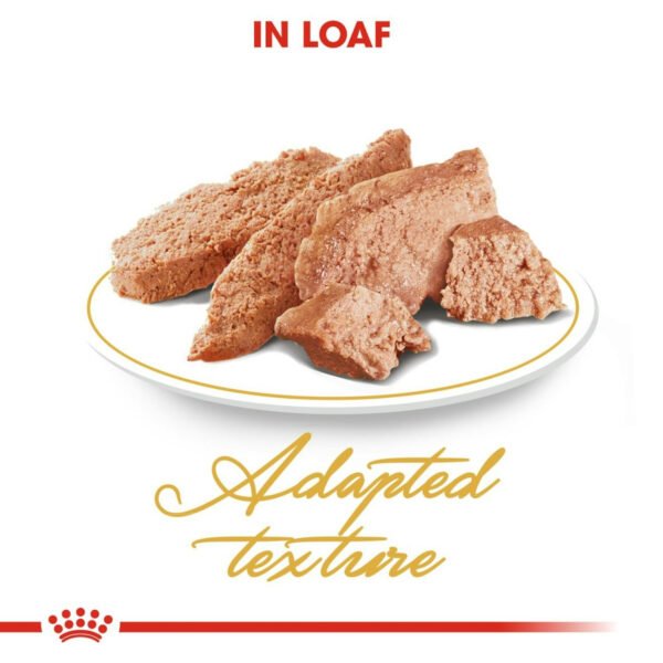 Royal Canin Persian Adult Wet Cat Food Loaf