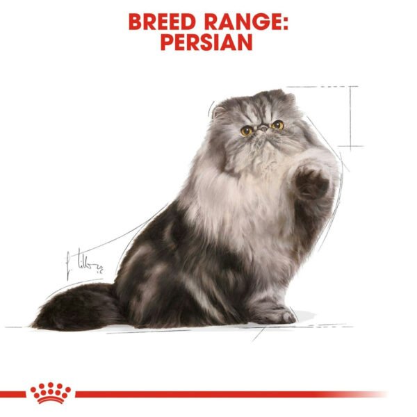 Royal Canin Persian Adult Wet Cat Food Loaf