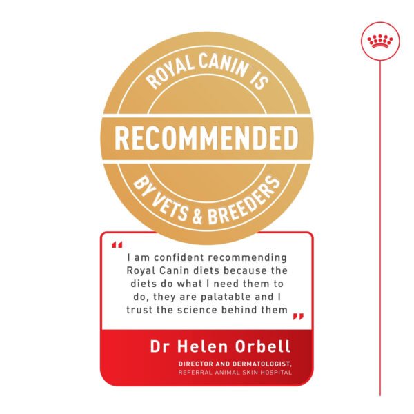 Royal Canin Shih Tzu Adult Dry Dog Food