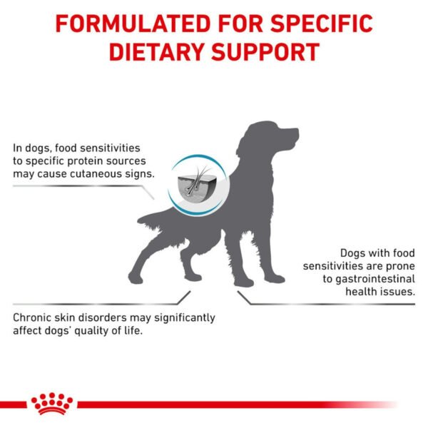 Royal Canin Veterinary Diet Anallergenic Dry Dog Food