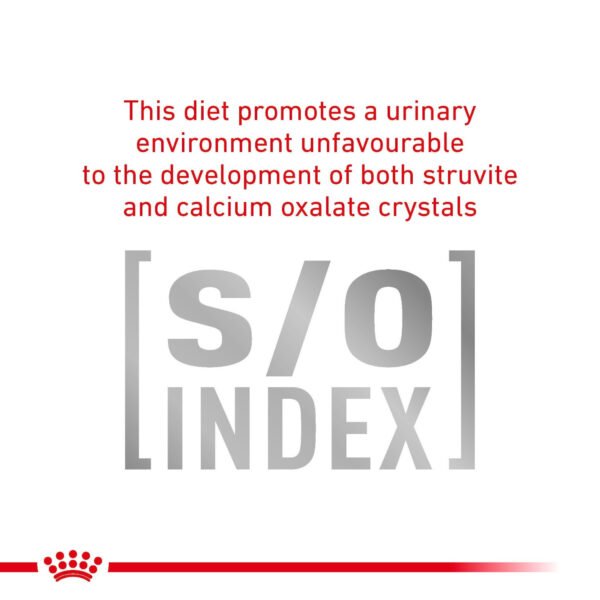 Royal Canin Veterinary Diet Early Renal Dry Cat Food