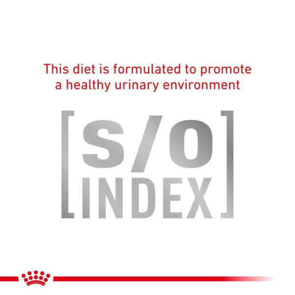 Royal Canin Veterinary Diet Gastrointestinal Dry Cat Food