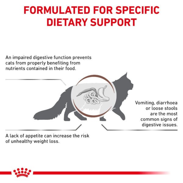 Royal Canin Veterinary Diet Gastrointestinal Dry Cat Food
