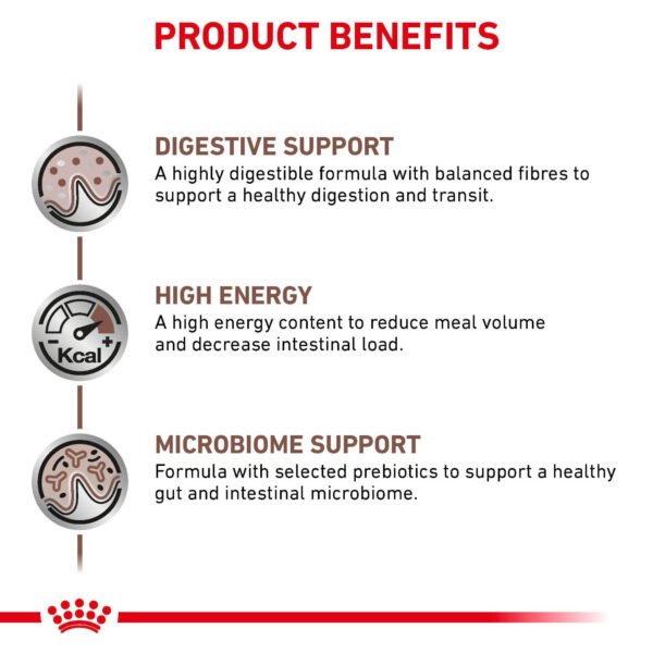 Royal Canin Veterinary Diet Gastrointestinal Dry Cat Food