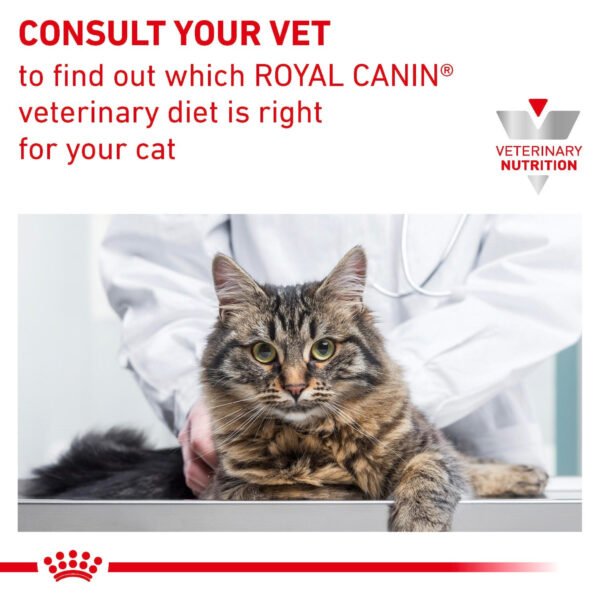 Royal Canin Veterinary Diet Gastrointestinal Moderate Calorie Dry Cat Food