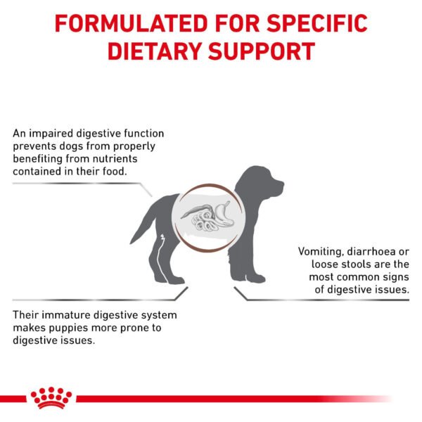 Royal Canin Veterinary Diet Gastrointestinal Puppy Dry Dog Food