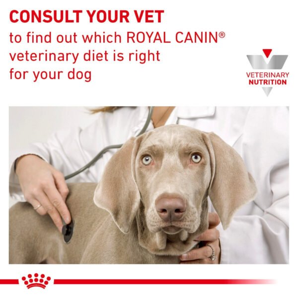 Royal Canin Veterinary Diet Hepatic Dry Dog Food