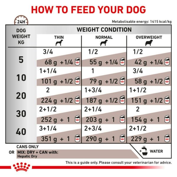Royal Canin Veterinary Diet Hepatic Wet Dog Food Loaf