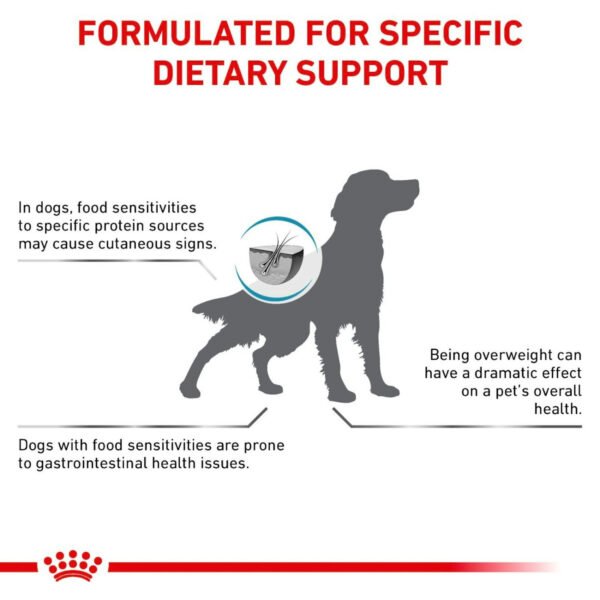 Royal Canin Veterinary Diet Hypoallergenic Moderate Calorie Dry Dog Food