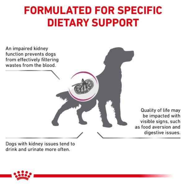 Royal Canin Veterinary Diet Renal Dry Dog Food