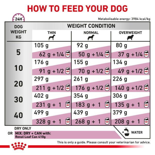 Royal Canin Veterinary Diet Renal Dry Dog Food