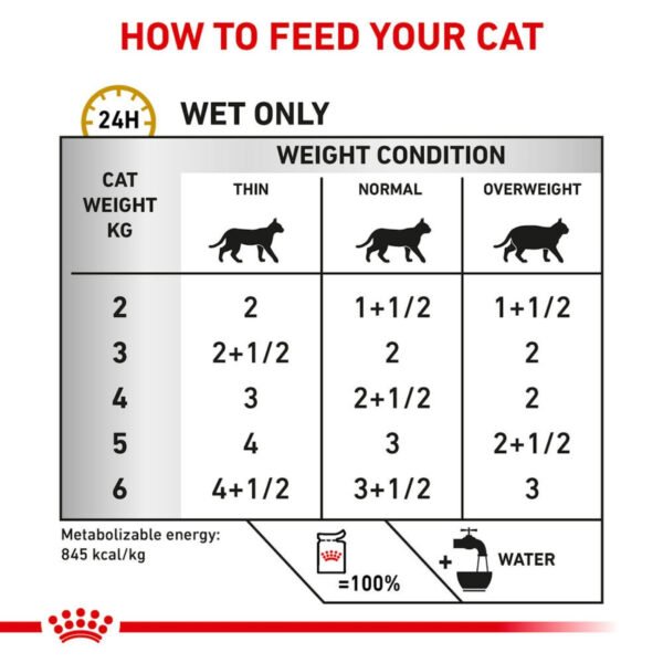 Royal Canin Veterinary Diet Urinary S/O Wet Cat Food Loaf
