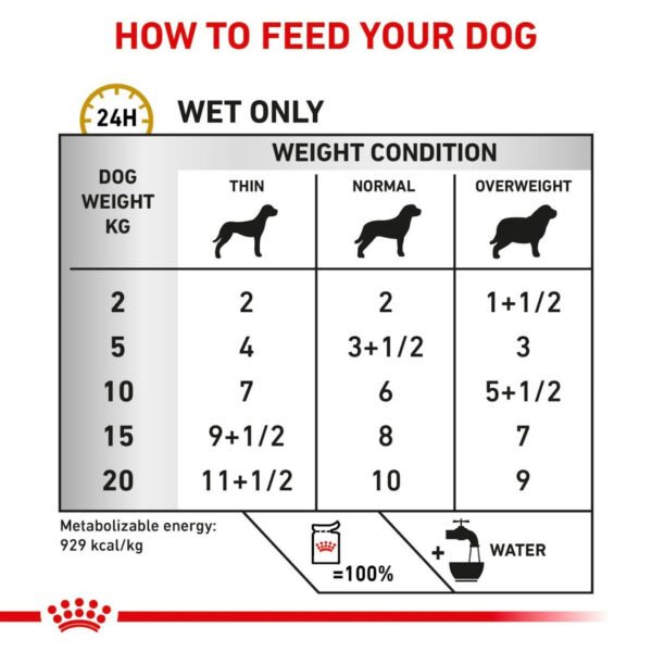 Royal Canin Veterinary Diet Urinary S/O Wet Dog Food Thin Slices in Gravy