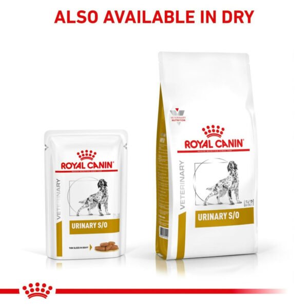 Royal Canin Veterinary Diet Urinary S/O Wet Dog Food Thin Slices in Gravy